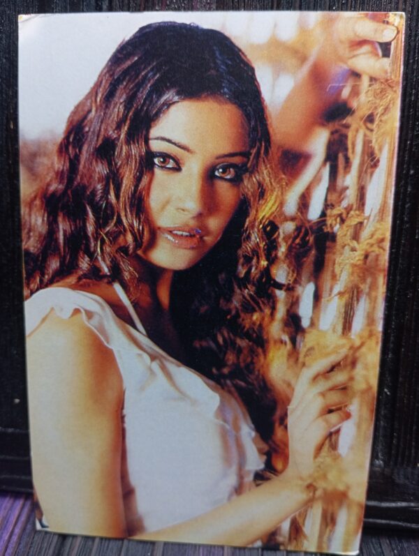Bipasha Basu * Vintage Bollywood Postcard * (JPP) (WN)