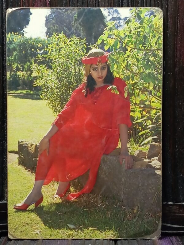 Sridevi * Vintage Bollywood Postcard * (PC) (PC-548)