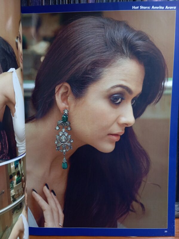 INDIA OK magazine COLLECTOR'S EDITION FEB 2008 - Image 3