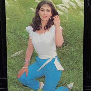Meenakshi Seshadri * Vintage Bollywood Postcard * (PC) (PC-937)