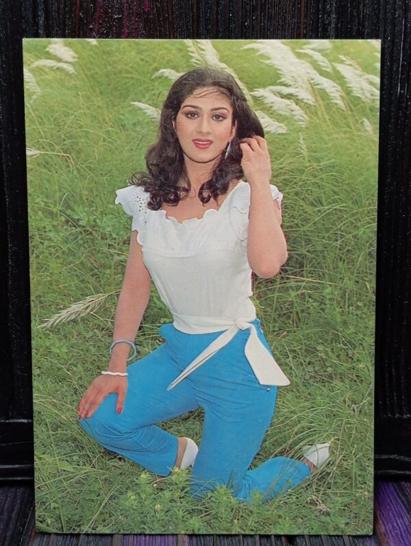 Meenakshi Seshadri * Vintage Bollywood Postcard * (PC) (PC-937)