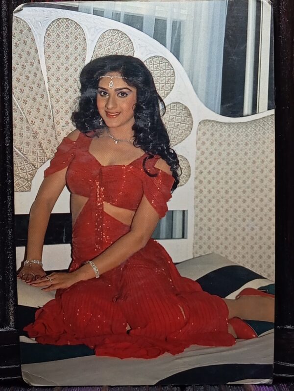 Meenakshi Seshadri * Vintage Bollywood Postcard * (PC) (PC-538)