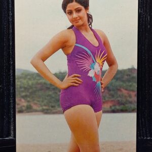 Sridevi * Vintage Bollywood Postcard * (PP) (WN)