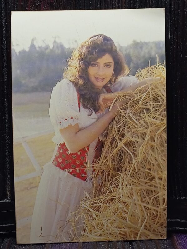 Sridevi * Vintage Bollywood Postcard * (UC) (605)