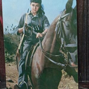 Hema Malini * Vintage Bollywood Postcard * (Ruby) (150)