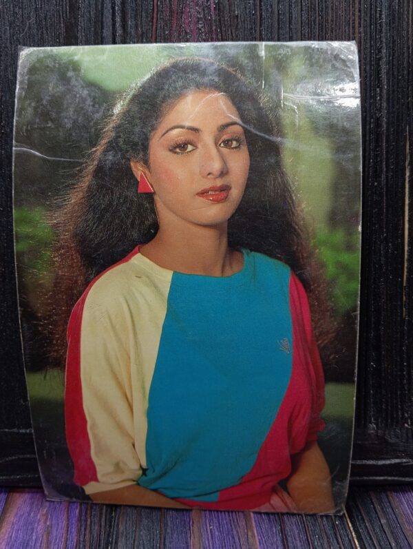 Sridevi * Vintage Bollywood Postcard * (RC) (PC-254)
