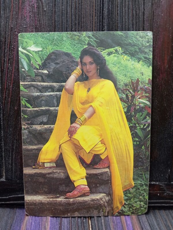 Meenakshi Seshadri * Vintage Bollywood Postcard * (RC) (PC-618)