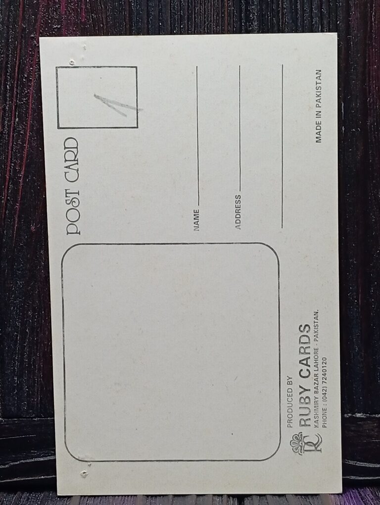 Tabu Ajay Devgn * Vintage Bollywood Postcard * (Ruby) (WN) - Image 2