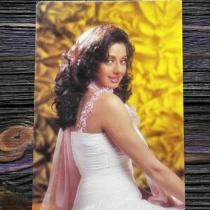 Sridevi * Vintage Bollywood Postcard * (BAP) (1360)