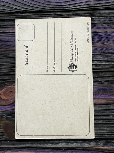 Sridevi * Vintage Bollywood Postcard * (Fansy) (WN) - Image 2