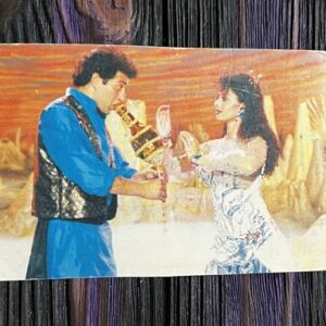 Sridevi Sunny Deol * Vintage Bollywood Postcard * (Jain) (4319)
