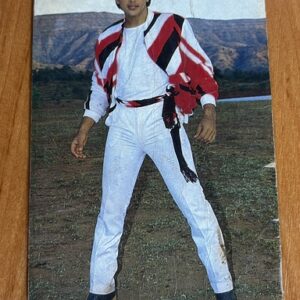 Govinda * Vintage Bollywood Postcard * (RUBY) (217)