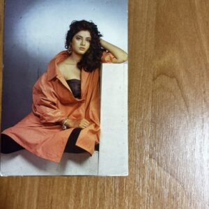 Divya Bharti* Vintage Bollywood Postcard * (Brijbasi) (2006)
